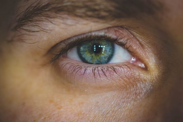 Eye