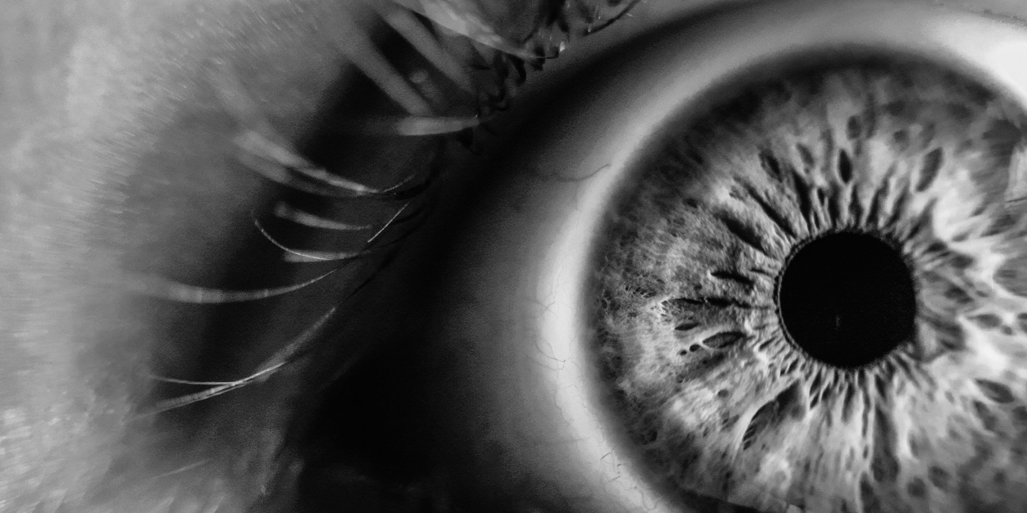 black-and-white-blur-close-up-120271